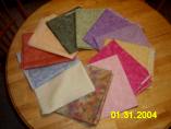 FOLA Quilt 2 (2/2/04) (Photo Courtesty of Chris Anderson)