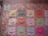 FOLA Quilt  (1/14/05) - Quilt progress details (Photo Courtesty of Chris Anderson)