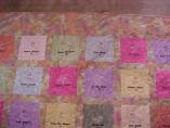 FOLA Quilt  (1/14/05) - Quilt progress details (Photo Courtesty of Chris Anderson)